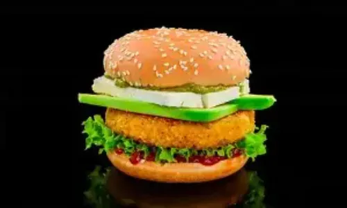 Veg Cheese Burger